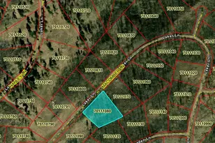 Lot 1195 Laker, Fort Garland, CO 81133 - Photo 1