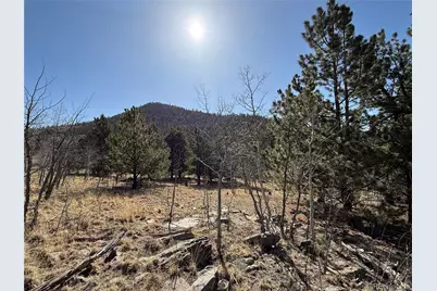 234 Warclub Court, Jefferson, CO 80456 - Photo 4