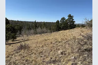 234 Warclub Court, Jefferson, CO 80456 - Photo 34