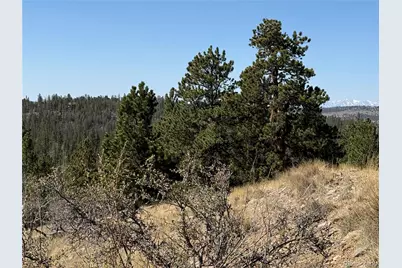 234 Warclub Court, Jefferson, CO 80456 - Photo 32