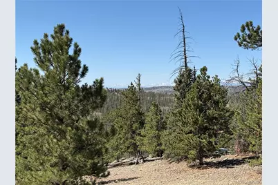 234 Warclub Court, Jefferson, CO 80456 - Photo 46