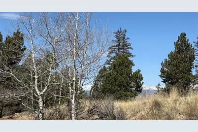 234 Warclub Court, Jefferson, CO 80456 - Photo 38