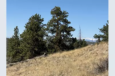 234 Warclub Court, Jefferson, CO 80456 - Photo 30