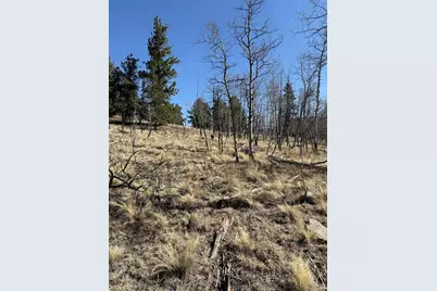 234 Warclub Court, Jefferson, CO 80456 - Photo 20