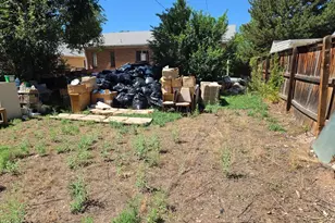 1150 Roslyn St, Denver, CO 80220 - Photo 6