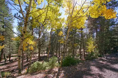 30402 Kings Valley, Conifer, CO 80433 - Photo 2