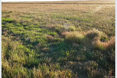 Hwy 52, Wiggins, CO 80654 - Photo 2