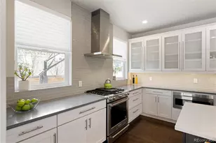 3031 S Birch St, Denver, CO 80222 - Photo 10