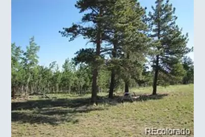 257 Bolster Drive, Hartsel, CO 80449 - Photo 1