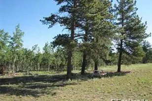 257 Bolster Dr, Hartsel, CO 80449 - Photo 1