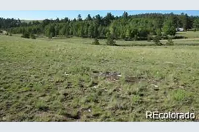 257 Bolster Drive, Hartsel, CO 80449 - Photo 8