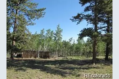 257 Bolster Drive, Hartsel, CO 80449 - Photo 2