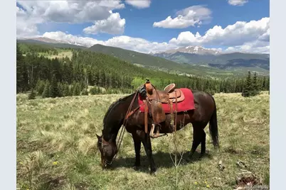 637 Rock Road, Bailey, CO 80421 - Photo 46