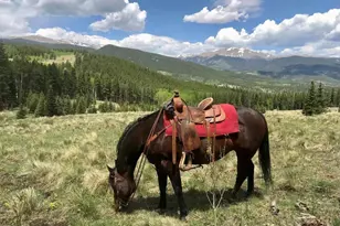 637 Rock Rd, Bailey, CO 80421 - Photo 46