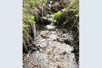 637 Rock Road, Bailey, CO 80421 - Photo 30