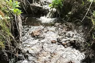 637 Rock Rd, Bailey, CO 80421 - Photo 30