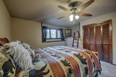 637 Rock Road, Bailey, CO 80421 - Photo 20