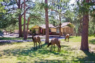 2838 Olympia Cir, Evergreen, CO 80439 - Photo 6