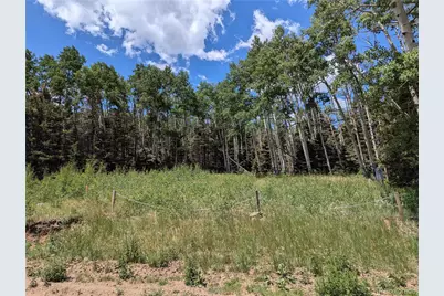 3070 Henderson Drive, Fort Garland, CO 81133 - Photo 4