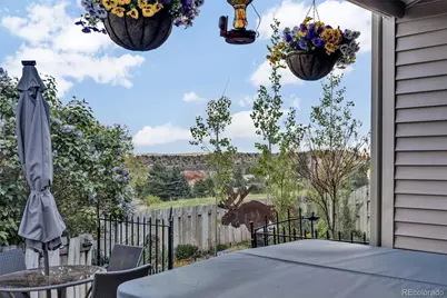 6876 Surrey Trail, Littleton, CO 80125 - Photo 42