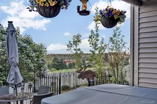6876 Surrey Trail, Littleton, CO 80125 - Photo 42