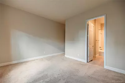 10165 Concordia Street, Parker, CO 80134 - Photo 24