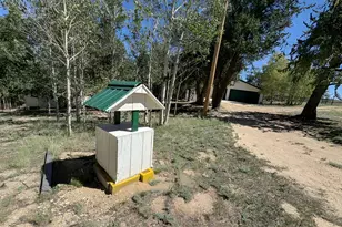 503 Buffalo Ridge Rd, Como, CO 80456 - Photo 28