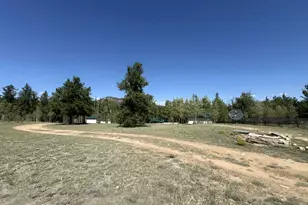 503 Buffalo Ridge Rd, Como, CO 80456 - Photo 30