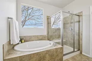 3878 Desert Ridge Cir, Castle Rock, CO 80108 - Photo 18