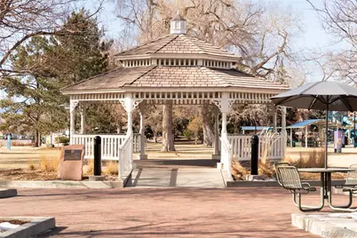 10846 Victorian Drive, Parker, CO 80138 - Photo 38