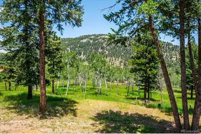 6528 Modoc Lane, Evergreen, CO 80439 - Photo 32