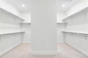 6503 Still Pne Cir, Castle Pines, CO 80108 - Photo 44