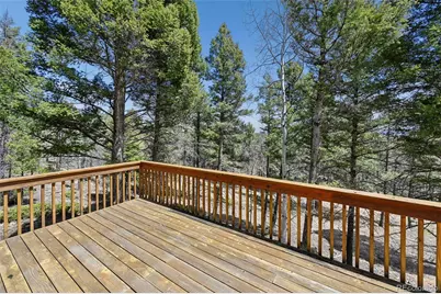 82 Apache Creek, Florissant, CO 80816 - Photo 22