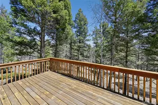 82 Apache Creek, Florissant, CO 80816 - Photo 22