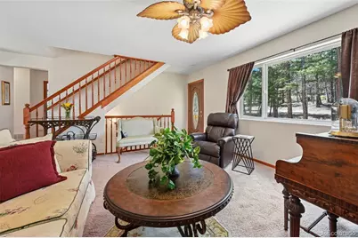 82 Apache Creek, Florissant, CO 80816 - Photo 8