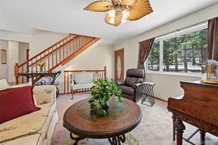 82 Apache Creek, Florissant, CO 80816 - Photo 8
