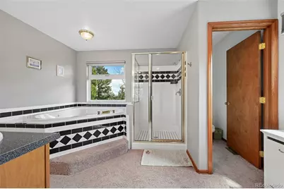 82 Apache Creek, Florissant, CO 80816 - Photo 10