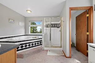 82 Apache Creek, Florissant, CO 80816 - Photo 10