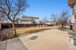 11091 Clayton St, Northglenn, CO 80233 - Photo 26