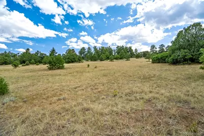 433 Antler Hill Trail, Canon City, CO 81212 - Photo 40