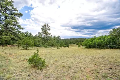 433 Antler Hill Trail, Canon City, CO 81212 - Photo 36