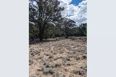 1842 Lone Pine Way, Crestone, CO 81131 - Photo 10