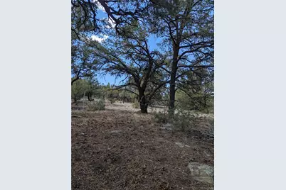 1842 Lone Pine Way, Crestone, CO 81131 - Photo 12