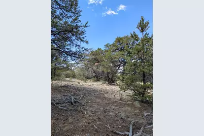 1842 Lone Pine Way, Crestone, CO 81131 - Photo 16
