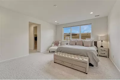 5428 Brotherton Court, Castle Rock, CO 80104 - Photo 20