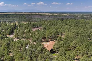 15984 Pole Pine Point, Colorado Springs, CO 80908 - Photo 42