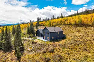 1881 River Dr, Alma, CO 80420 - Photo 1