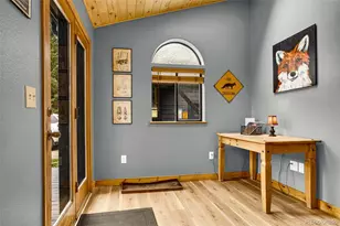 1881 River Dr, Alma, CO 80420 - Photo 28