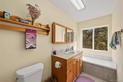 356 Iron Mountain Lane, Cotopaxi, CO 81223 - Photo 26