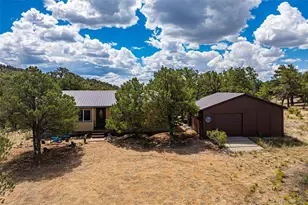 356 Iron Mountain Ln, Cotopaxi, CO 81223 - Photo 1